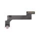 iPad 10 10.9 2022 Charging Port Flex Cable Replacement [Pink] [Wifi Version]
