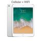 iPad Mini 4 Cellular Used Tablet (64GB)