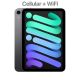 iPad MIni 6 Cellular Tablet (64GB)