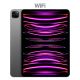 iPad Pro 11 4th Gen Wifi Only Tablet (256GB)