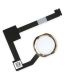 [000] iPad Air 2 / Mini 4 / Pro 12.9 Home Switch Button Flex Cable Ribbon Assembly with Rubber Gasket [Gold]