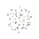 iPhone 12 Pro Max Full Screw Set [Silver]