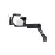 iPhone 14 Pro Max Flash Light Flex Cable Replacement