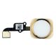 [000] iPhone 6 / 6 Plus Home Switch Button Flex Cable Ribbon Assembly with Rubber Gasket [Gold]